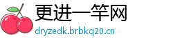 更进一竿网